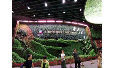 2019北京世園會，我們來啦